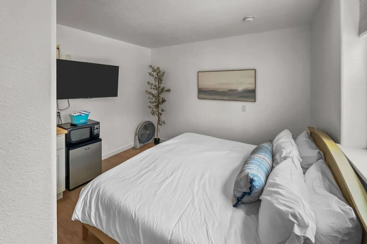 A cozy, well-lit interior scene featuring a comfortable bed, television, decorative plant, and wall artwork. The mood is inviting and calm, suggesting a relaxing retreat for both guests and their pets after a day outdoors.