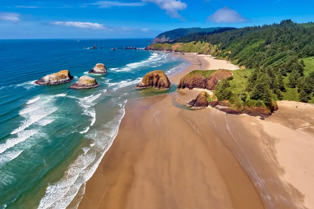 A wide view of a peaceful sandy beach framed by dramatic rock formations, ocean waves, and a lush bordering forest. The open space suggests room for activities like volleyball and other communal gatherings, evoking relaxation and play in a natural setting.